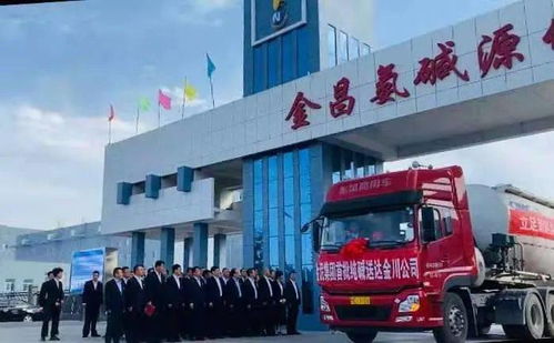 金泥集团20万吨联碱项目顺利投产，纯碱产品与翡翠玉石共谱发展新篇