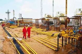 长庆油田采气一厂 抢抓黄金季，生产建设跑出“加速度”