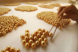 流光溢金 揭秘价比黄金的稀世珍珠